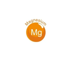 Magnésium (Copy)