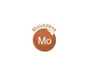 Molybdène (Copy)