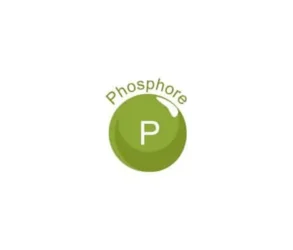Phosphore (Copy)