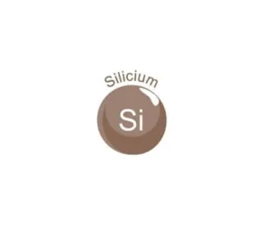 Silicium (Copy)