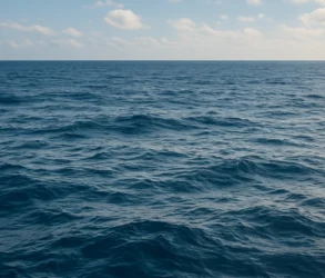 journee-mondiale-de-l-ocean-semineraliser