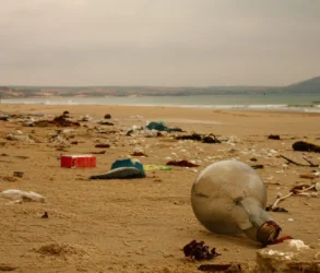 journee-mondiale-environnement-pollution