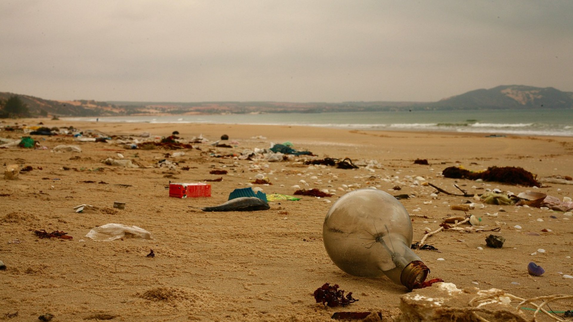 journee-mondiale-environnement-pollution