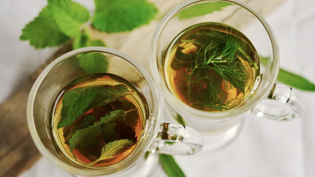 Infusion froide à la menthe été